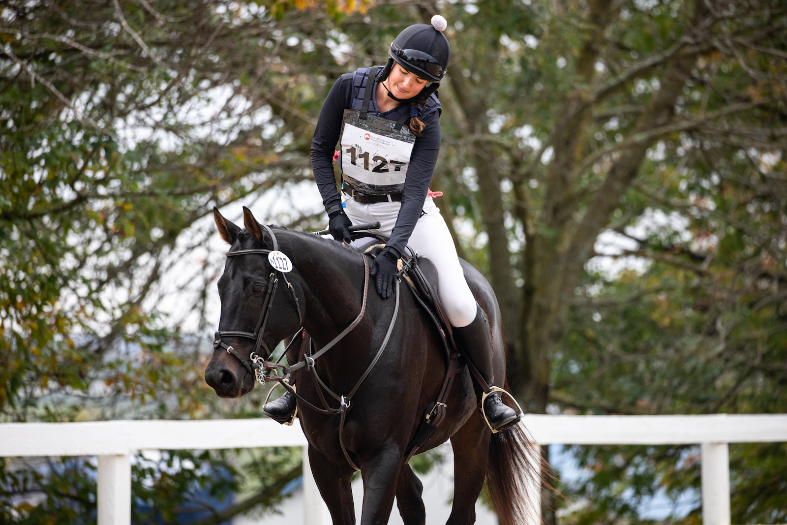 Featured image for “2022 Thoroughbred Makeover Rulebook Now Available”